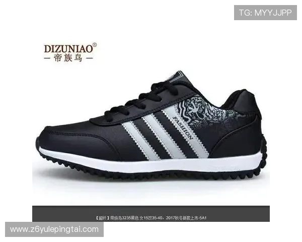 尊龙官方旗舰店品牌官方授权，保障消费者权益与正品品质