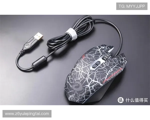 尊龙凯时电脑版官网提供最新安全稳定的游戏体验与全面的客户服务指南